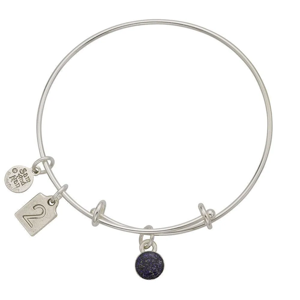 February Sparkle Grey Birthstone Charms Bangle Bracelet 2