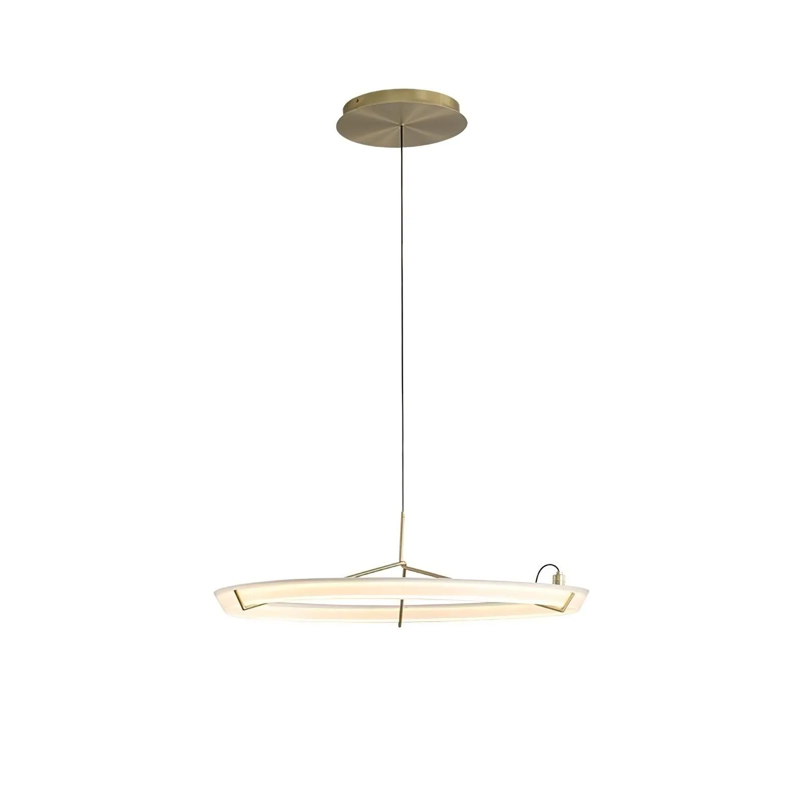 Ring Nodes Pendant Lamp