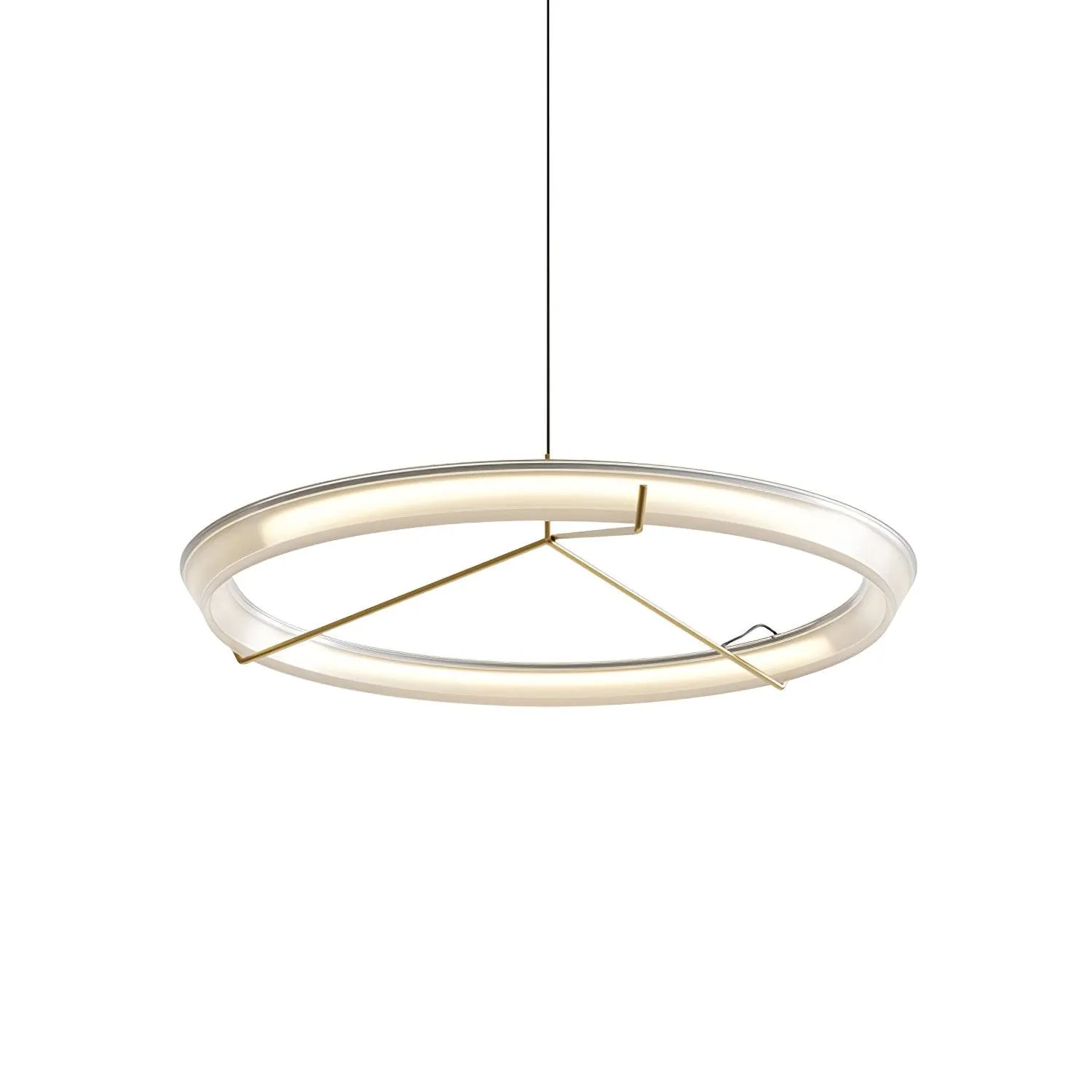 Ring Nodes Pendant Lamp