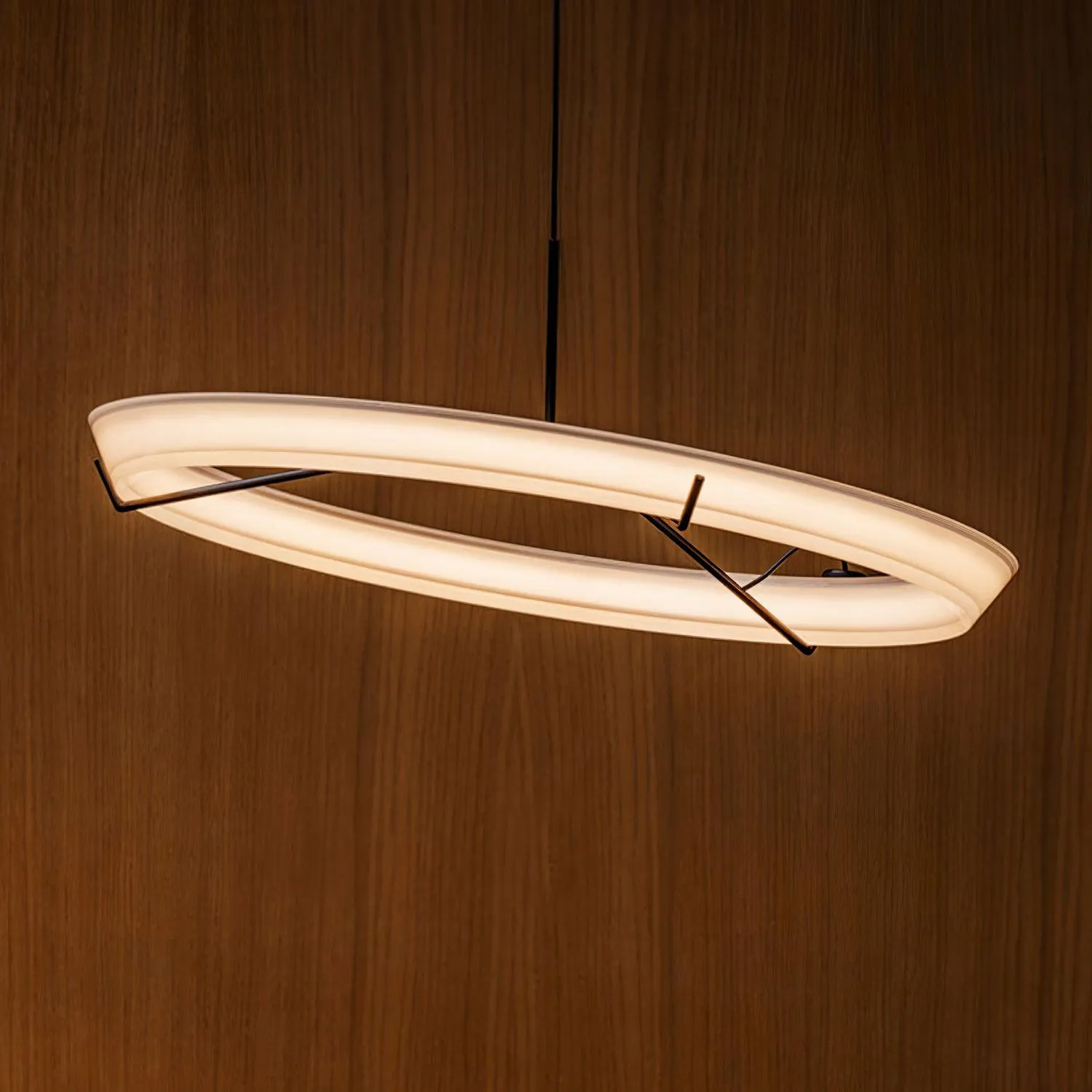 Ring Nodes Pendant Lamp