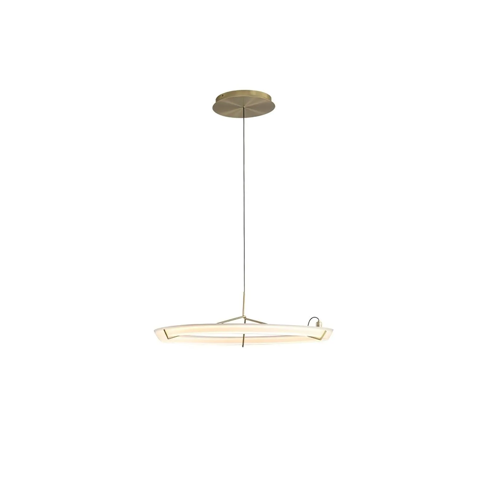 Ring Nodes Pendant Lamp